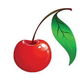 Cherry tree; ripe red cherry with a green leaf