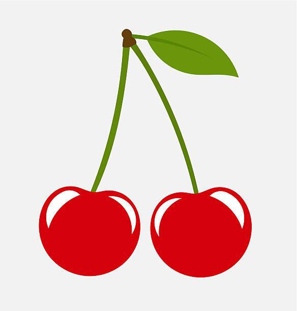 Two cherries vector art illustration