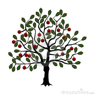 ... Cherry tree - Vector illu