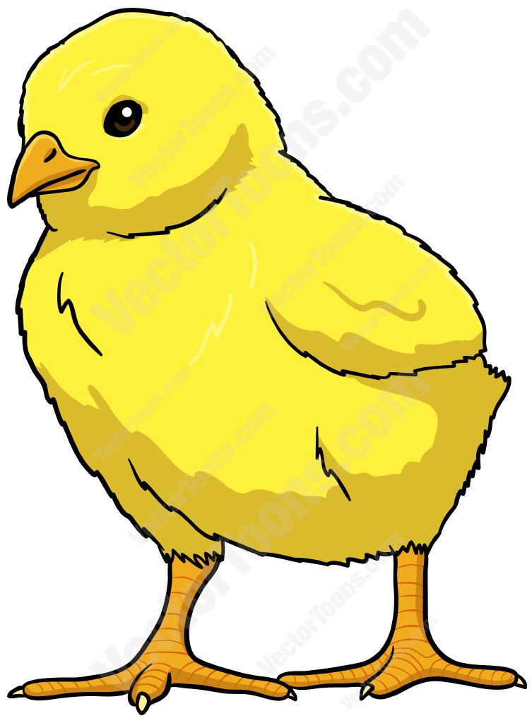 Yellow Baby Chick Cartoon Clipart
