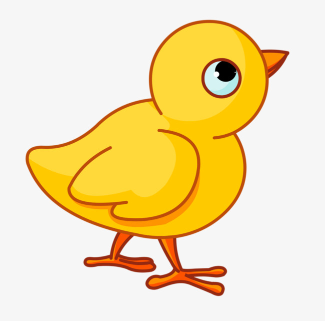 yellow chick, Chick, Birds, Yellow PNG Image and Clipart