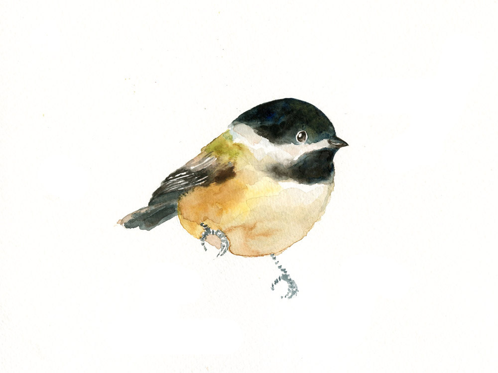 CHICKADEE -Art Print-Bird Watercolor Print-Giclee Print-