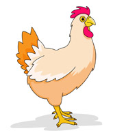 Chicken Cartoon Clipart Size: 66 Kb