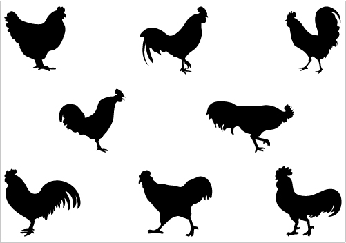 Rooster and hen silhouette 02