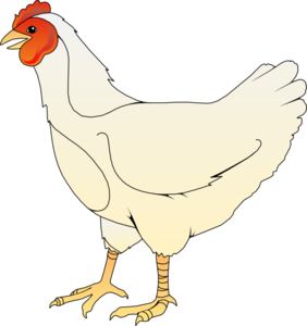 Chicken clip art free free vector for free download about image