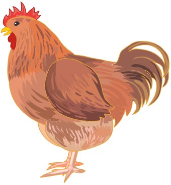 Chicken clipart free clipart 3 clipartcow