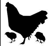 Rooster and hen silhouette 02
