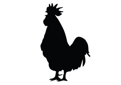Chicken Silhouette Vector - Chicken Silhouette Clip Art