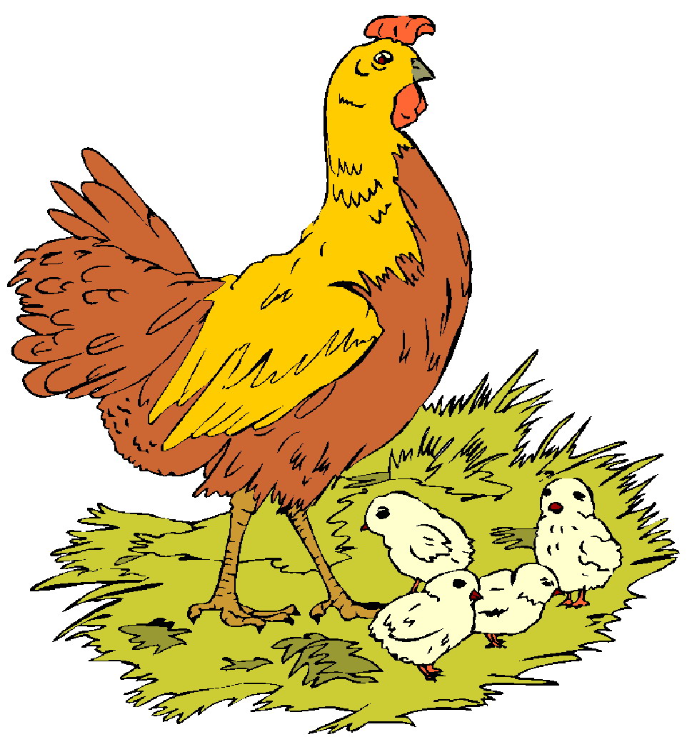 Chickens clip art - Clip Art Chickens