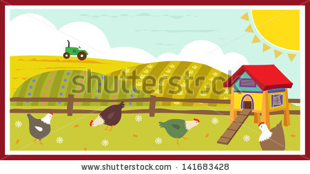Chickens In the field- Cute Vector illustration of chickens in the field  and a chicken