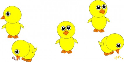 Chicks cartoon clipart