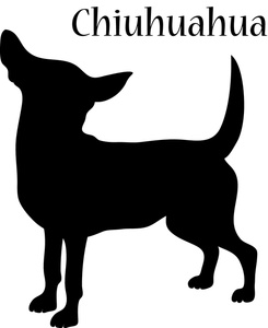chihuahua clipart. chihuahua clipart. Chihuahua Clipart Graphics .
