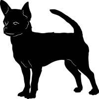 Image of Chihuahua Clipart .