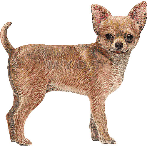 Chihuahua Clipart Graphics Fr - Chihuahua Clip Art