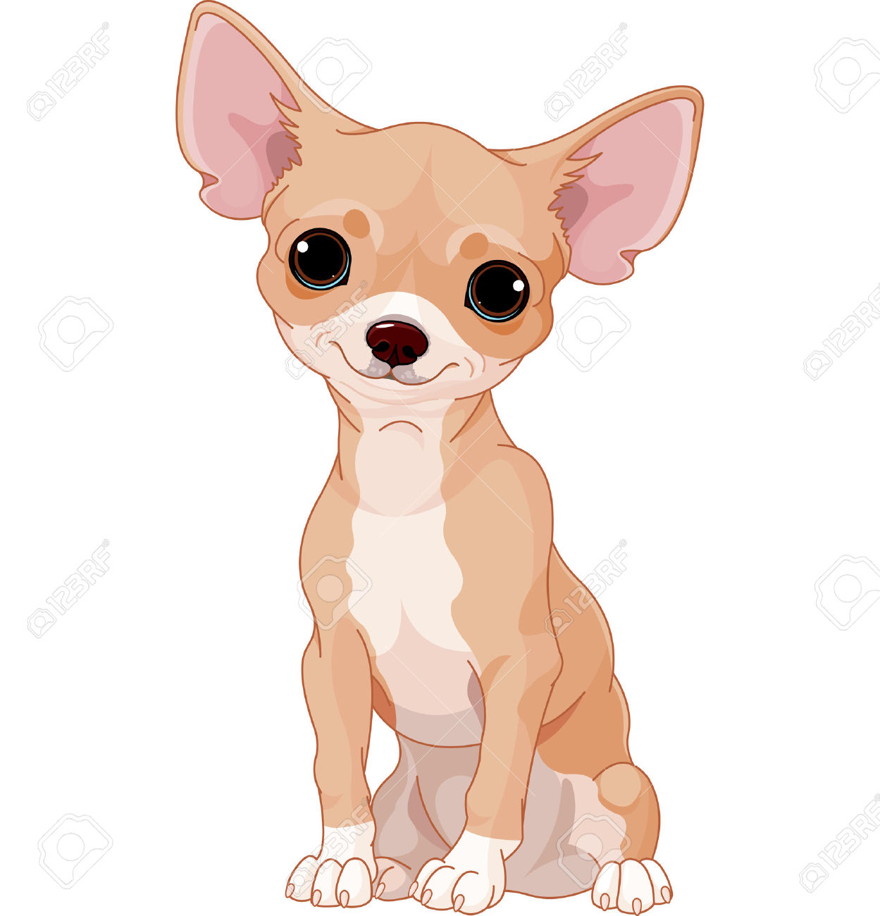 chihuahua: Cute dog of breed  - Chihuahua Clip Art