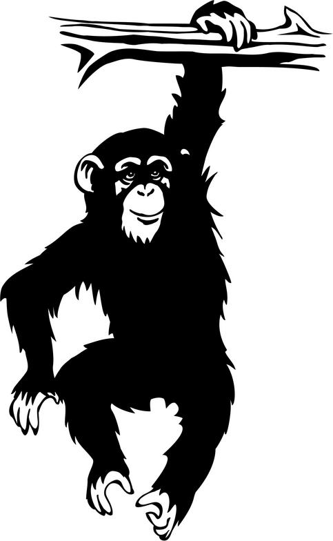 Chimpanzee Clip Art