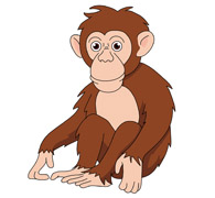 chimpanzee hangs from tree vine clipart. Size: 94 Kb