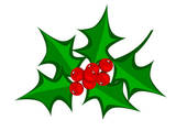 christmas card u0026middot; Holly berry