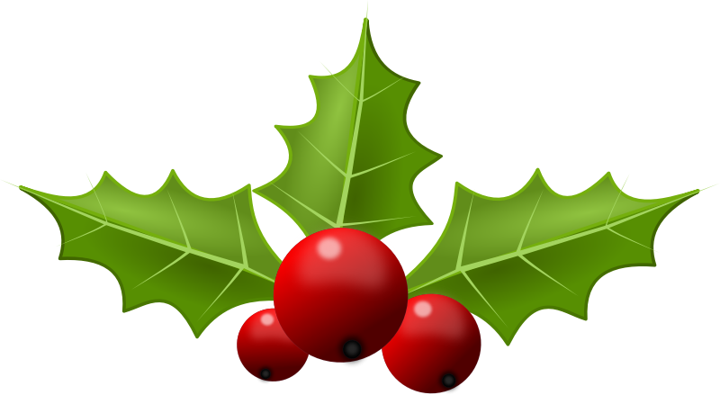 christmas Holly5 Png - Christmas Holly Clipart