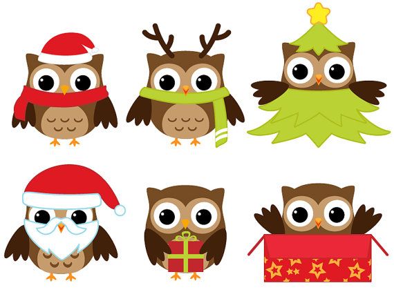 Owls clipart christmas digita