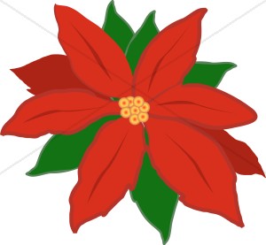 Christmas Poinsettia - Free Poinsettia Clipart