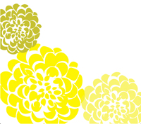 Chrysanthemum Clipart In Yellow