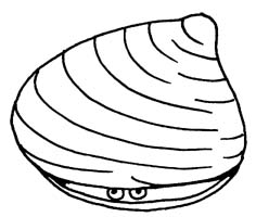 Clam 20clipart | Clipart Panda - Free Clipart Images