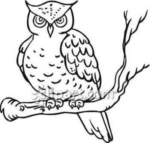 Classic Black and White Owl . - Owl Clipart Black And White