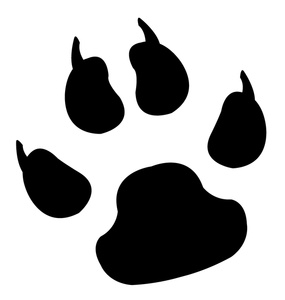 Clawed Paw Print Clipart Imag - Lion Paw Print Clip Art