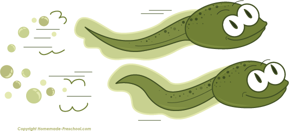 Click to Save Image - Tadpole Clipart