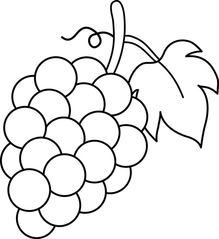 clip art black and white | Grapes Black and White Lineart - Free Clip Art