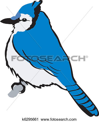 ... Cartoon Blue Jay Walking 