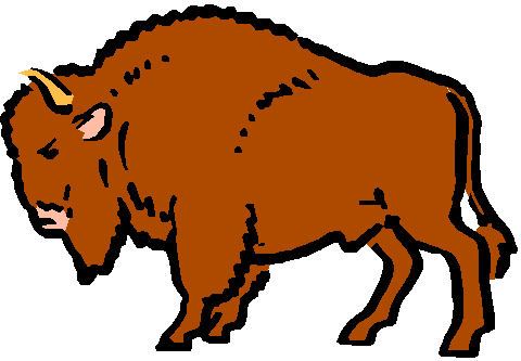 Clip Art Buffalo