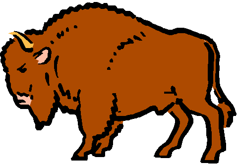 buffalo standing. Size: 72 Kb