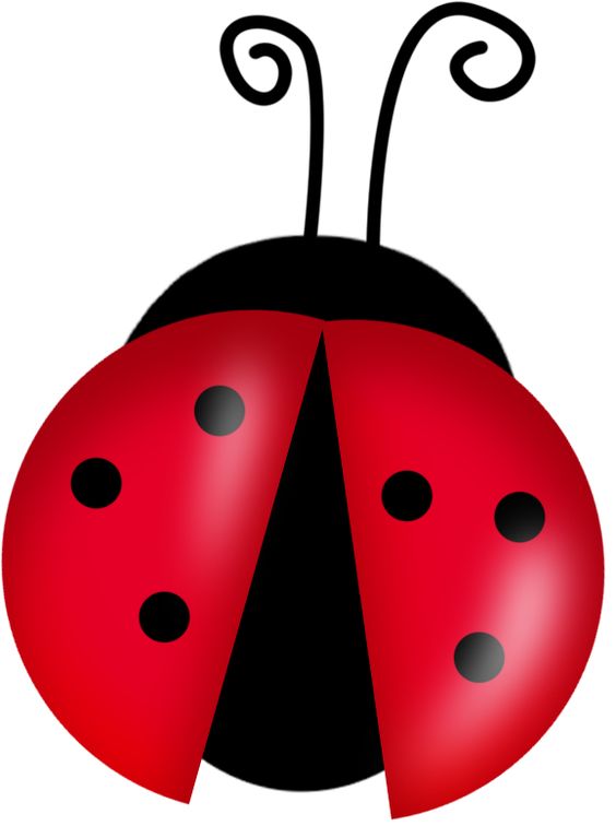 Clip Art Insects. Bugs 20clip