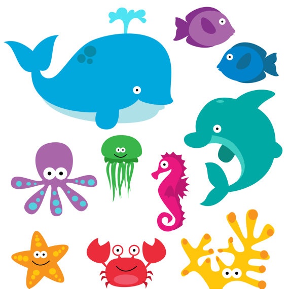 cute sea creatures: .