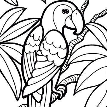 ... Owl Coloring Page Clipart