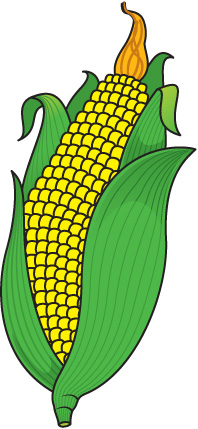 Clip Art Corn Clipart corn clipart free download clip art on clipart