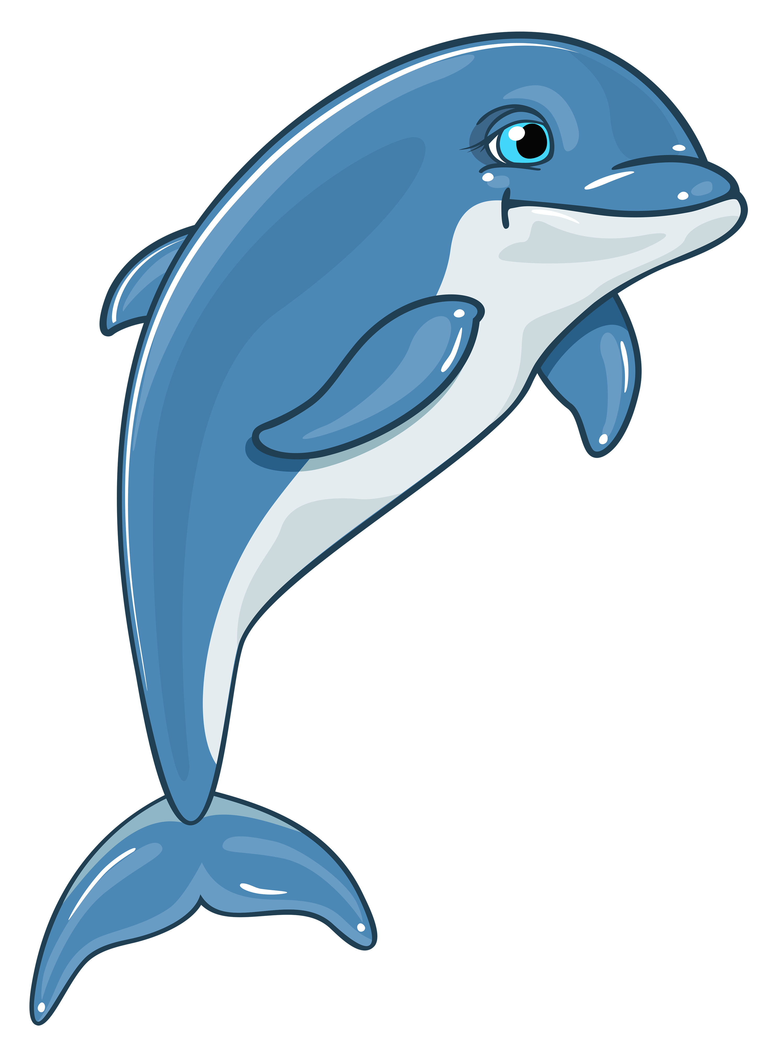 Clip art dolphin - Dolphin Clipart