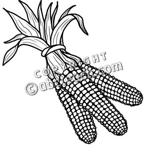Clip Art: Ears of Indian Corn .
