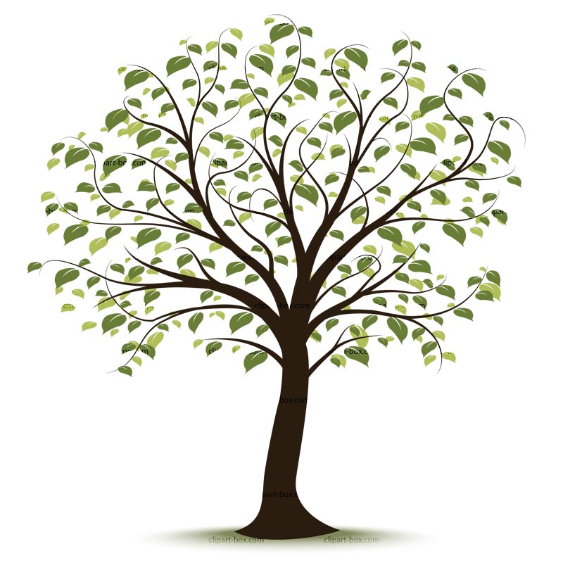 Clip art family tree - Family Tree Clipart