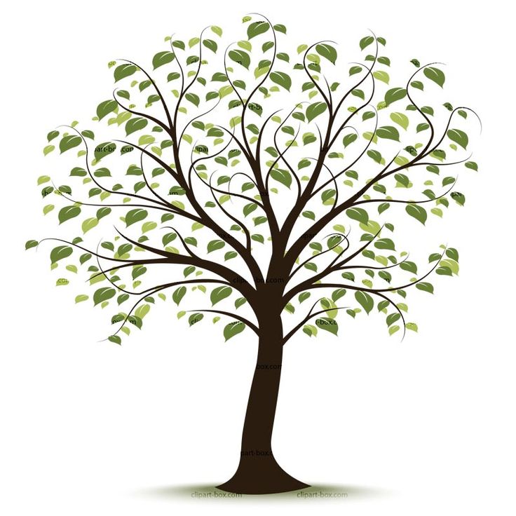 clipart tree. Family tree gen