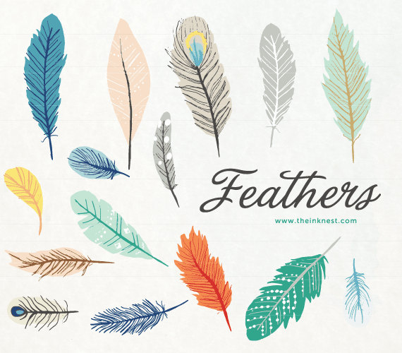 CLIP ART - Feathers - for commercial and personal use