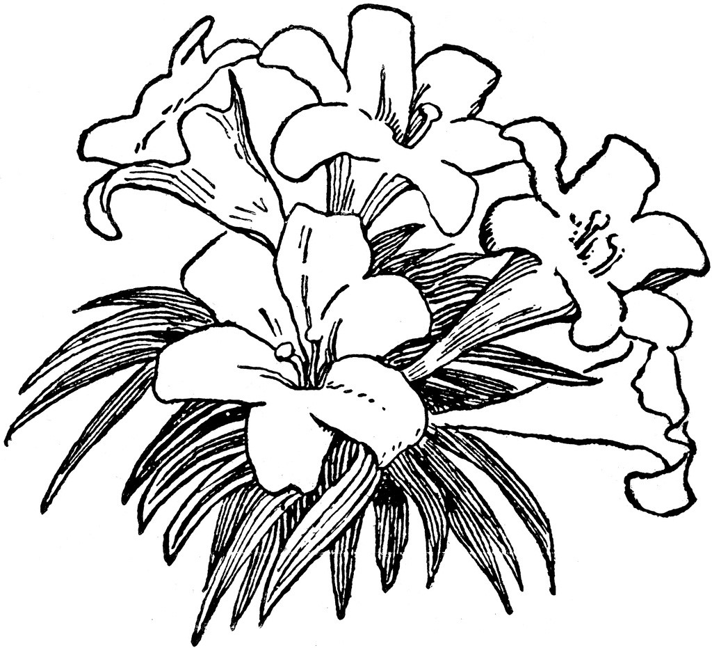 Clip Art Flowers Black and . - Flowers Clipart Black And White
