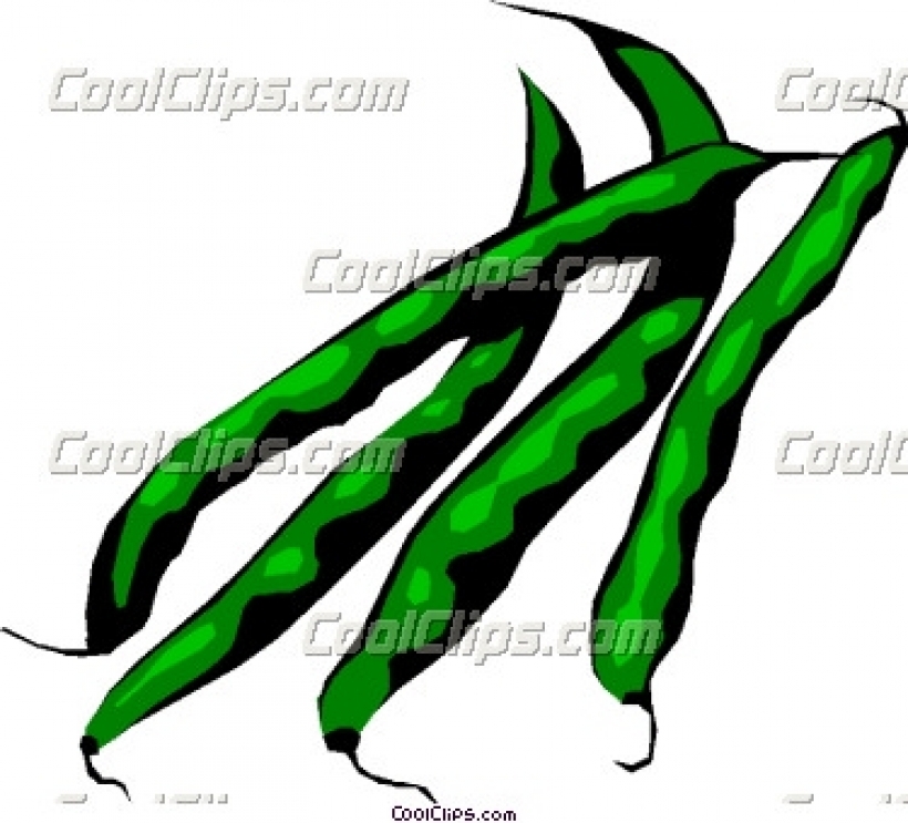 clip art green beans cool .
