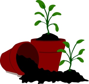Clip Art Images Seedling Stock Photos Clipart Seedling Pictures