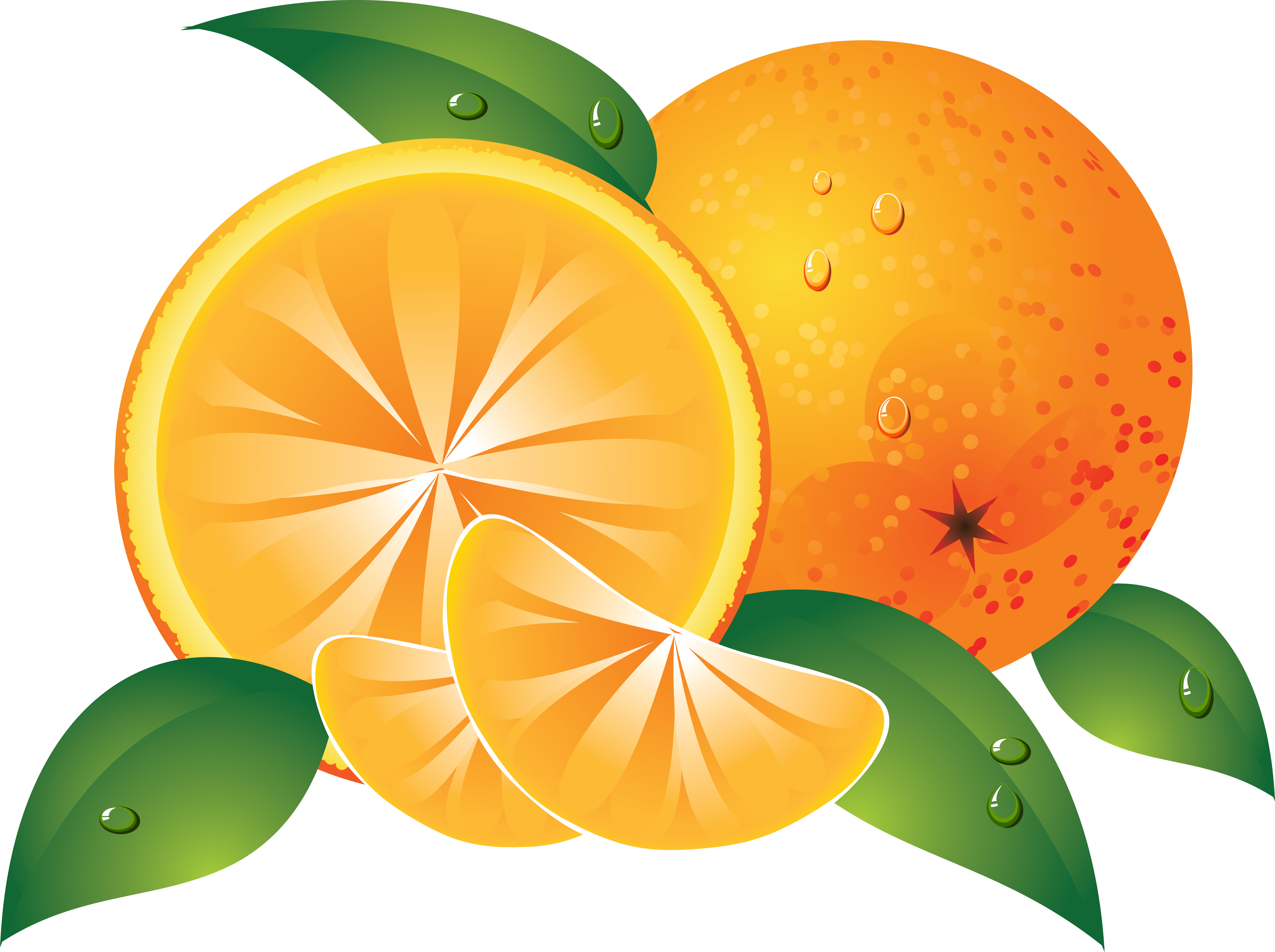 Orange Whole Half and Wedge -