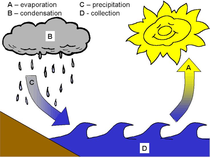 Hydrologic cycle diagram. Tec