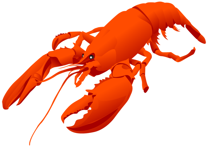 Clip art lobster clipart clip - Clipart Lobster