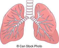 Clip Art Lungs Clipart lung clipart panda free images